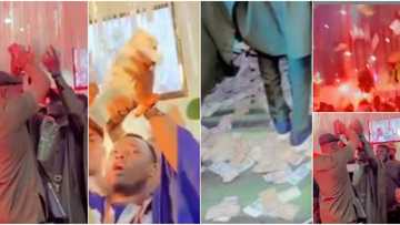 Money rains heavily at a wedding ceremony in Benin as big boys turn party to giveaway arena