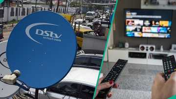 MultiChoice announces 4 new DStv, GOtv packages in Nigeria, entry price N6,000