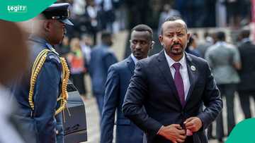7 Ethiopian armed groups form alliance to overthrow Abiy Ahmed's government