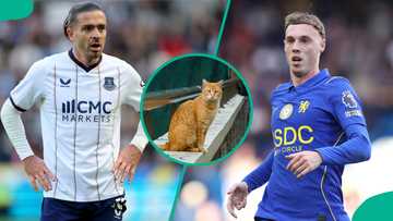 Everton vs Chelsea: Mysterious cat predicts Premier League early kickoff
