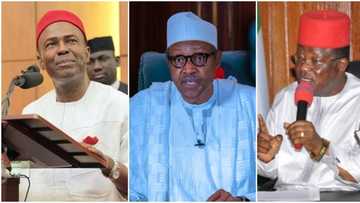 Shugabancin kasa a 2023: Matasan Ohanaeze sun bayyana mutum 2 da suke so su karbi mulki daga hannun Buhari