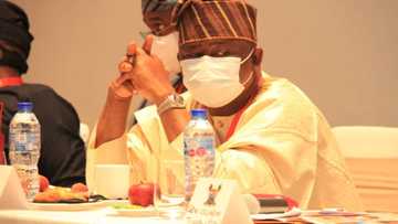 Senator Adeola blames Nigeria’s debt burden on past administrations