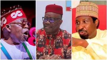 Revealed: Tinubu reportedly picked his preferred candidate for Senate Presidency