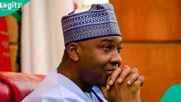 Breaking: Ex-Nigerian senate president announces zone next president should come from in 2027
