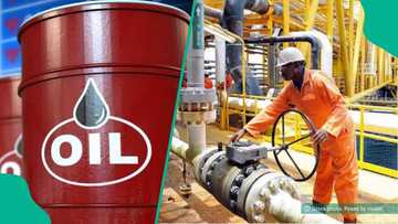 Nigeria missing as list of top 10 world's largest crude oil producers in 2026 emerges