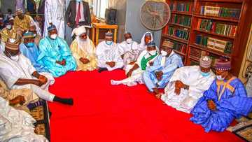 Buhari ya aika wakilci mai karfi zuwa daurin auren diyar hadiminsa a Kano