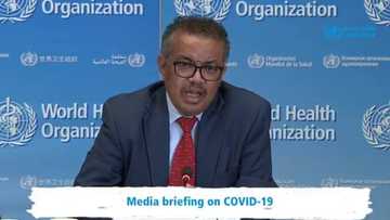 Shugaban hukumar lafiya ta duniya WHO ya killace kansa kan tsoron ya kamu da cutar Korona