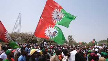 Bye-election: LP releases timetable, pegs senate form at N3.5m, reps N2m, assembly N500k