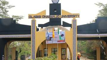 Amidst ASUU strike, powerful university moves on, appoints new VC