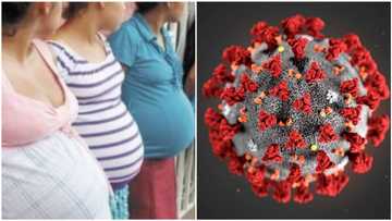 Why 7 million women could become pregnant during this lockdown - UN gives reason