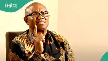 Atiku coalition: Labour Party set to expel Peter Obi, reason, details emerge