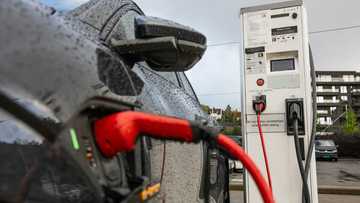 EV sales slip in Europe in 2024 in overall stable car market