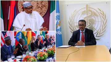 Hukumar Lafiya ta Duniya ta gindaya wa Buhari abubuwa 6 da zai yi kafin cire dokar kulle gaba daya