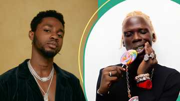 Omah Lay, Seyi Vibez thrill fans as Motherland Festival makes debut in Lagos: "Bigger than December"