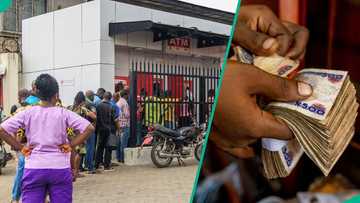 Full list: CBN releases how much Access, UBA, Zenith other banks pay customers for savings in 2026