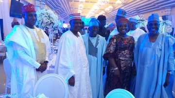 An yi wata arangama tsakanin Kwankwaso da Tinubu wajen walima