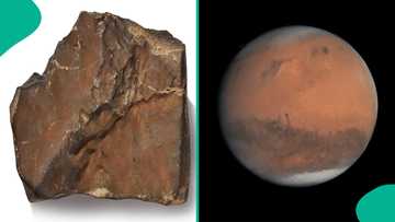 One piece of rock from Mars sells for $4.3 million in New York auction