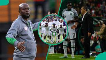 Super Eagles star blames Peseiro and Finidi over Nigeria's World Cup struggles