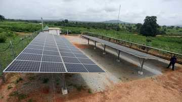 Green bonds offer hope, and risk, in Africa's climate fight