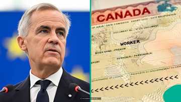 Canada lists 11 categories of foreigners exempt from employer-specific work permit processing fee