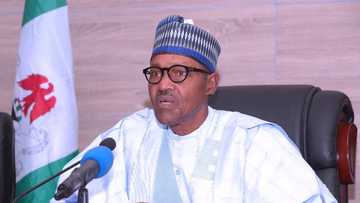 Matsalar Tsaro: Muna Kokari, yan Najeriya dai suka kara hakuri, Shugaba Buhari