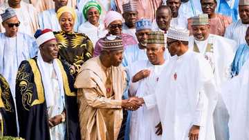 Sarki ya koma kan kujerar mulki bayan lafawar Boko Haram a Borno