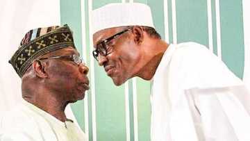 Muhimman abubuwa 4 da ke kunshe a sakon sabuwar shekarar Obasanjo