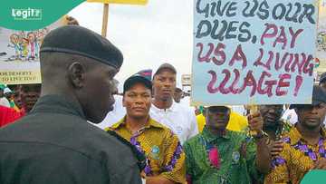 Nigeria missing from top 10 African countries with highest employment rate, ILO release data