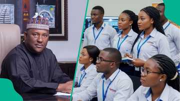 Apply now: BUA Foods opens 2026 graduate trainee program in agribusiness