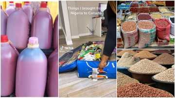 Provisions you can take from Nigeria to Canada & measurements: meat isn't among 5 classes of items allowed
