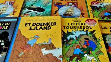 Tintin, Popeye, Hemingway among US copyrights expiring in 2025