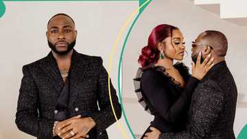 "A shame": Davido scolds staff who tried to wipe the hair dye off his head during wedding reception