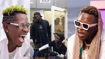 Shatta Wale goes on his knees to beg for coming late to interview with Medikal