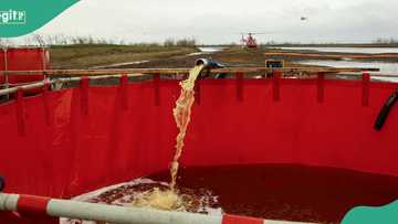 Tragedy as 2 Lagos factory workers die after falling into diesel reservoir