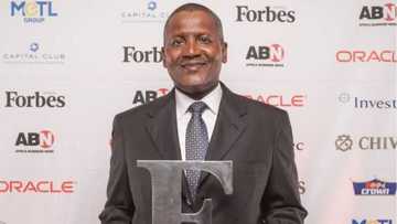 Dangote ya yi haramar noma tan miliyan guda na shinkafa duk shekara a Jihohi 7