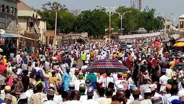 Hotunan yadda aka gudanar da shagalin bikin Maulidi a wasu jihohin Najeriya
