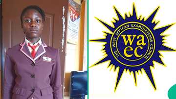 WAEC 2025 result of student who almost dropped out surfaces online, shows her grades in 9 subjects