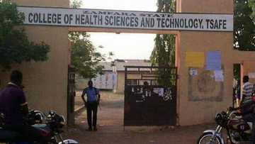 'Yan Bindigan Ba Su Yi Harbi Ko Sau Ɗaya Ba', Ganau Ya Magantu Kan Yadda Aka Sace Ɗaliban Zamfara