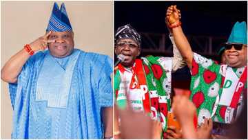 Osun Governorship Election: 7 key reasons why PDP's Adeleke defeated APC's Oyetola