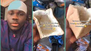 "See how my son chop bread": Dad shares hilarious video as son digs big hole inside bread