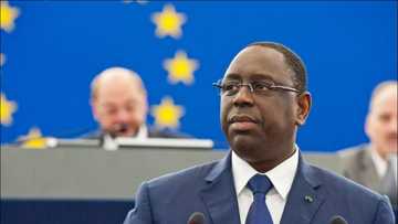 Tears, pain as 11 newborns die in horrific Senegal hospital fire, President Sall, UNICEF react
