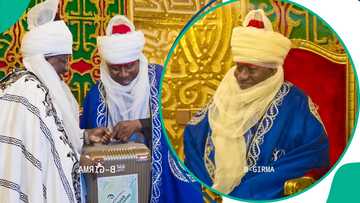 Masarautar Bauchi ta ba Goodluck Jonathan sarauta mai gwaɓi