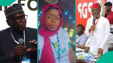 Wike vs Abdulrazaq: Anifowoshe discloses what APC must do