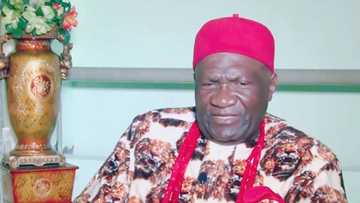 RUGA: Ohanaeze sends crucial message to Igbos following ultimatum from northern coalition, accuses groups of treason