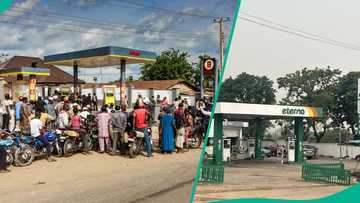 Depot owners crash fuel prices as Dangote ends N10 rebate on petrol purchases