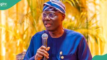 Igbo women threaten to sue Sanwo-Olu-led Lagos govt over ‘exclusive teaching of Yoruba in schools’