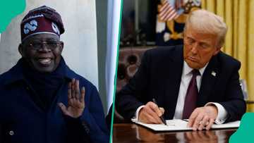 Muda Yusuf speaks on what Nigeria should do about Trump's tariff imposition