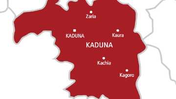 'Yan bindiga sun kashe Mai Unguwa da mutum 3 a Kaduna