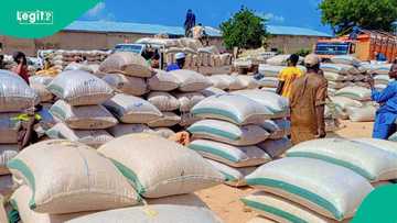 Bincike ya bankado dalilin ragargajewar farashin buhun shinkafa a Najeriya