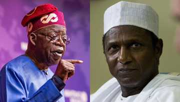 "Zan Yi Koyi Da Umaru Musa Yar'adua a Matsayin Shugaban Kasa", Bola Tinubu